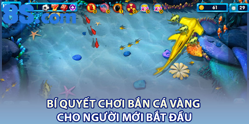 Bắn Cá Vàng – Cách Chơi Dễ Ăn Tiền Và Hiệu Quả 4 Bí quyết chơi Bắn Cá Vàng cho người mới bắt đầu