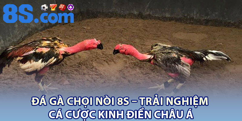 Đá Gà Chọi Nòi 8S – Trải Nghiệm Cá Cược Kinh Điển Châu Á 3 Da Ga Choi Noi 8S – Trai Nghiem Ca Cuoc Kinh Dien Chau A