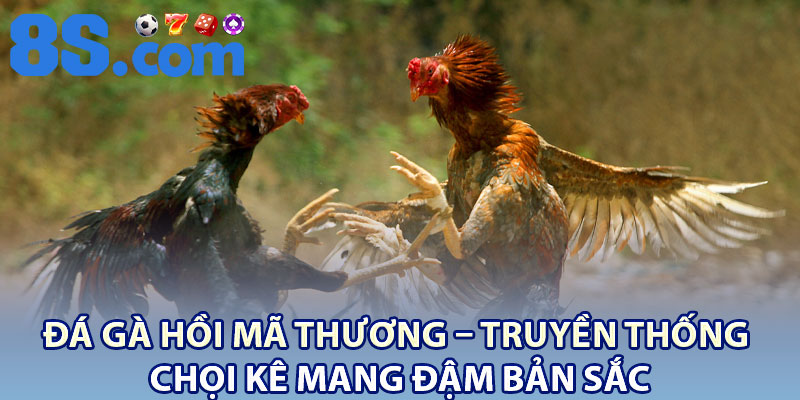 Đá Gà Hồi Mã Thương – Truyền Thống Chọi Kê Mang Đậm Bản Sắc 2 Da Ga Hoi Ma Thuong – Truyen Thong Choi Ke Mang Dam Ban Sac
