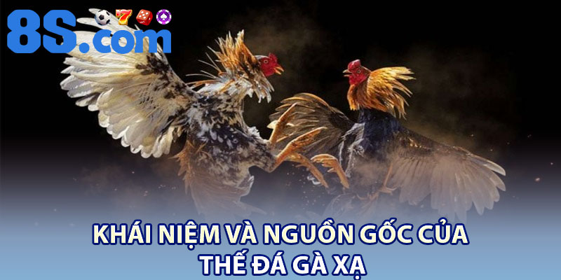 Thế Đá Gà Xạ: Dấu Hiệu Nhận Biết Và Cách Huấn Luyện Phù Hợp 2 Khái niệm và nguồn gốc của thế đá gà xạ