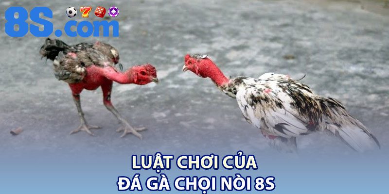 Đá Gà Chọi Nòi 8S – Trải Nghiệm Cá Cược Kinh Điển Châu Á 3 Luật chơi của đá gà chọi nòi 8S