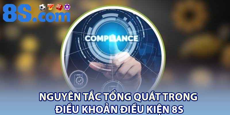 Điều Khoản Điều Kiện 8S – Quy Định Rõ Ràng Cho Hội Viên 1 Nguyên tắc tổng quát trong điều khoản điều kiện 8S