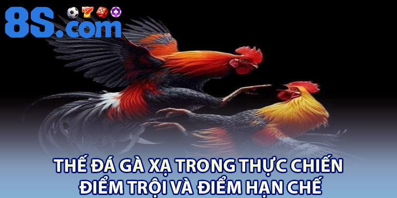 Thế Đá Gà Xạ: Dấu Hiệu Nhận Biết Và Cách Huấn Luyện Phù Hợp 3 Thế đá gà xạ trong thực chiến – Điểm trội và điểm hạn chế