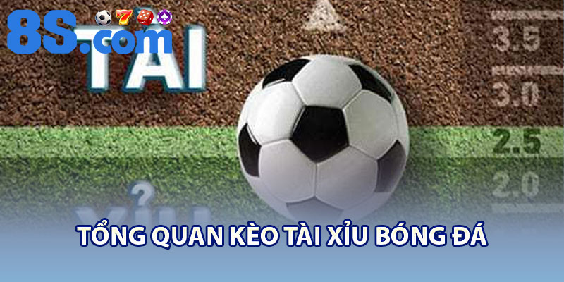 Tài Xỉu Bóng Đá – Giải Thích Cách Chơi Và Mẹo Thắng 2 Tổng quan kèo tài xỉu bóng đá