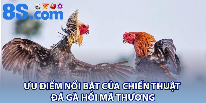 Đá Gà Hồi Mã Thương – Truyền Thống Chọi Kê Mang Đậm Bản Sắc 3 Ưu điểm nổi bật của chiến thuật đá gà hồi mã thương